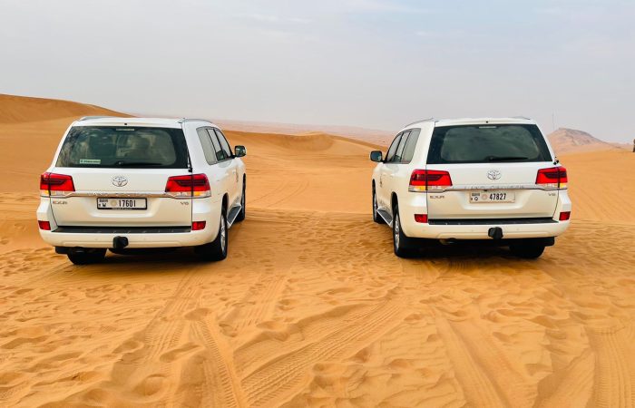 Dubai Desert Safari